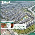 LOTUS WOOD PLANK PAINT
