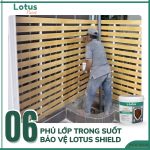 LOTUS SHIELD