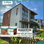 LOTUS WOOD PLANK PAINT
