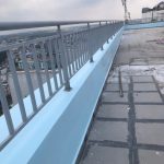 ROOF SHIELD