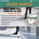 ROOF SHIELD