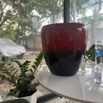 SƠN NHỰA – COMPOSITE LOTUS PBC 07